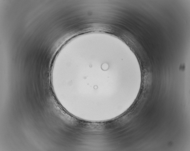 X0000114000836200911131139