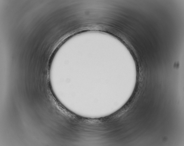 X0000114000837200911131139