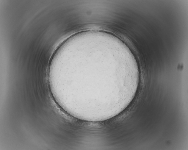 X0000114000839200911131139