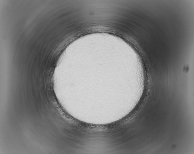 X0000114000841200911131139