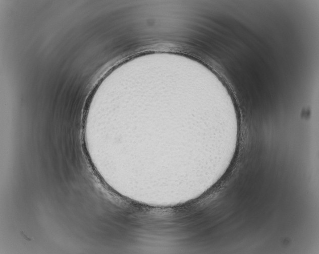 X0000114000845200911131139