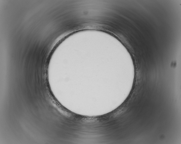 X0000114000846200911131139