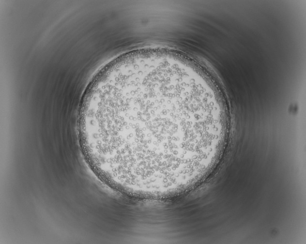 X0000114000847200911131139
