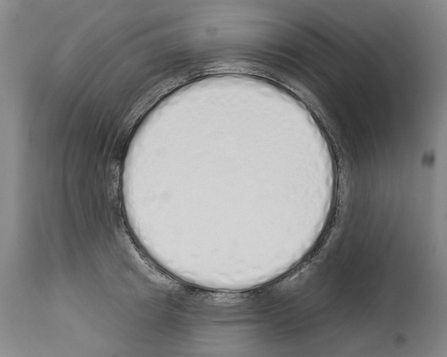 X0000114000849200911131139