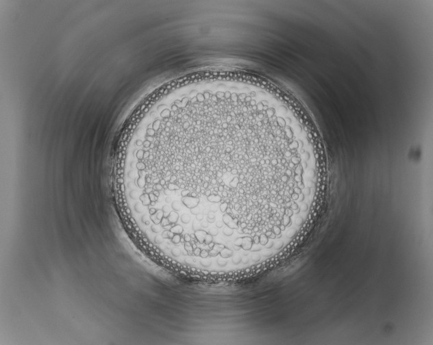 X0000114000851200911131139