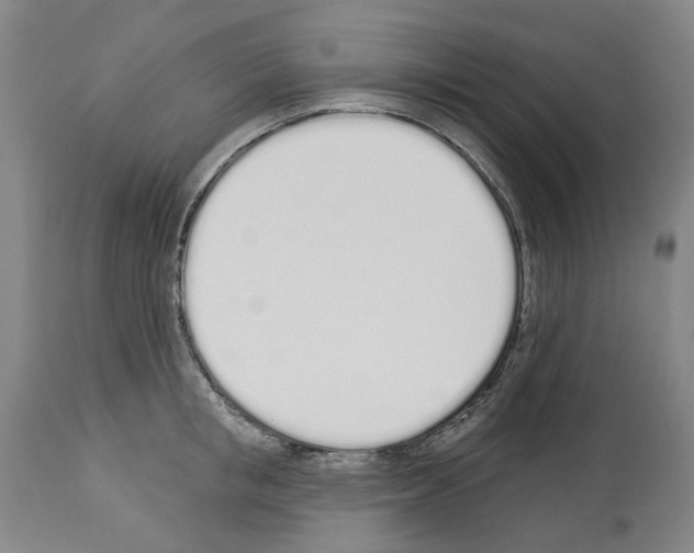 X0000114000853200911131139