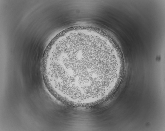 X0000114000855200911131139