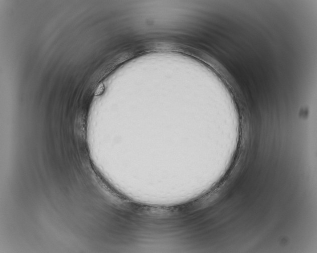 X0000114000857200911131139