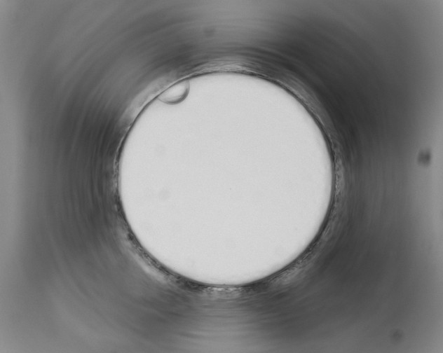 X0000114000858200911131139