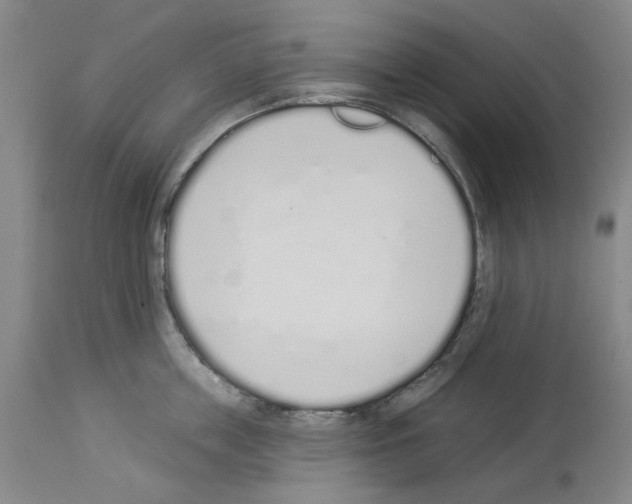 X0000114000859200911131139