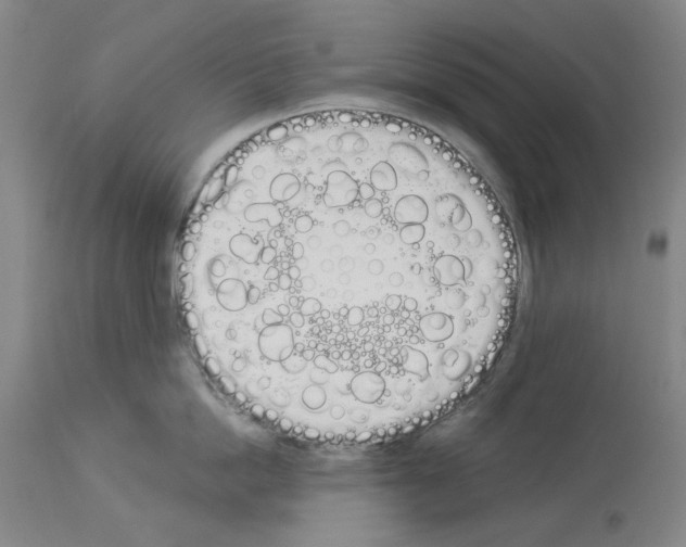 X0000114000862200911131139