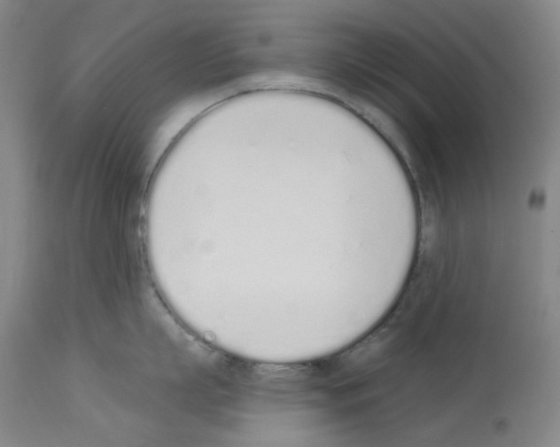 X0000114000863200911131139