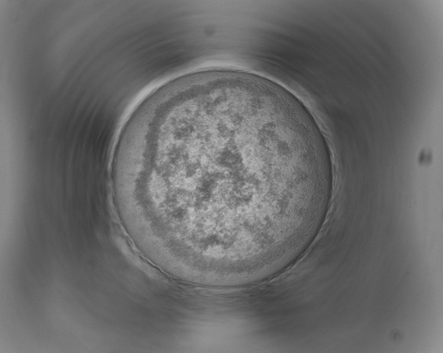 X0000114000864200911131139
