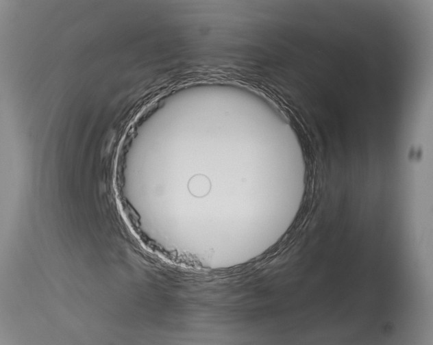 X0000114000865200911131138