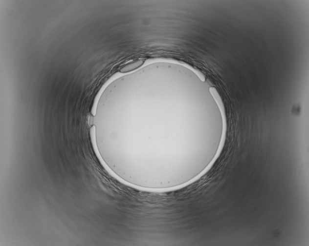 X0000114000868200911131138