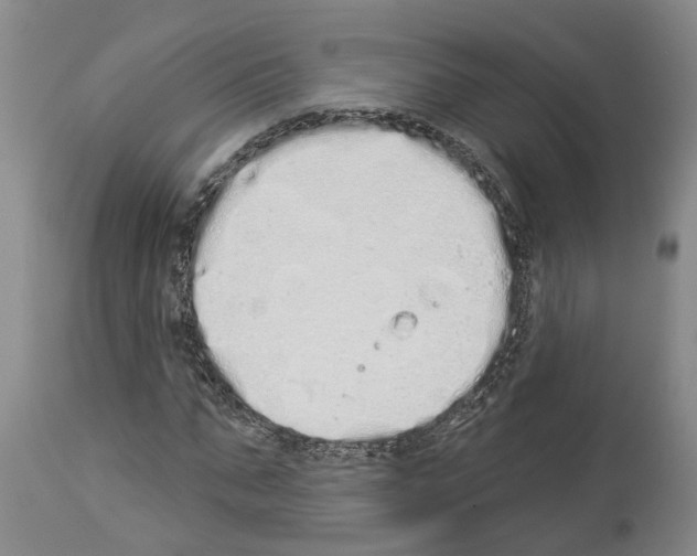 X0000114000871200911131138