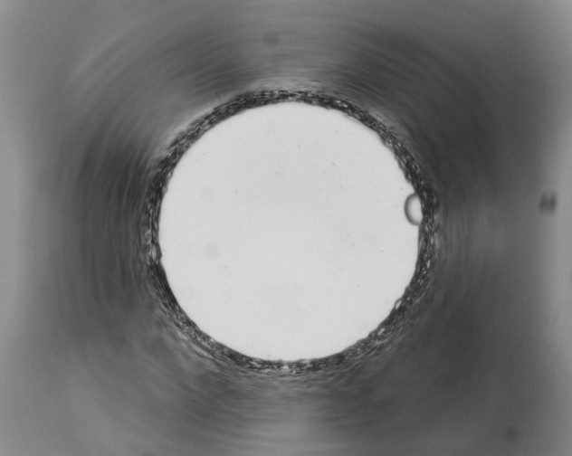 X0000114000872200911131138