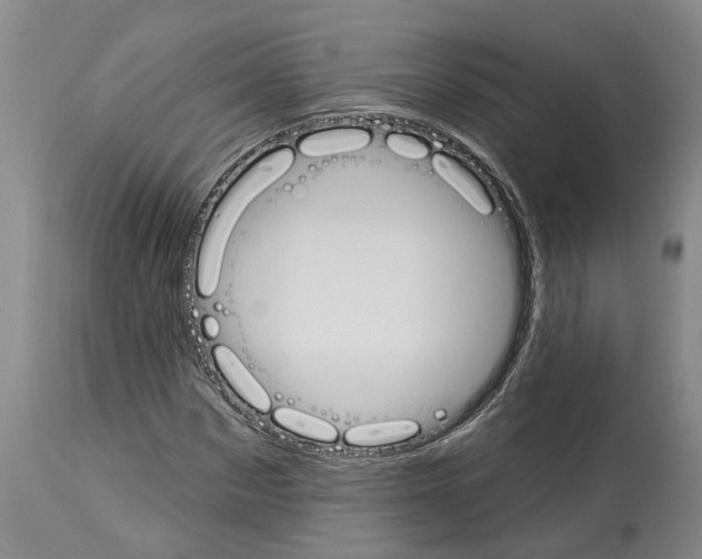 X0000114000873200911131138