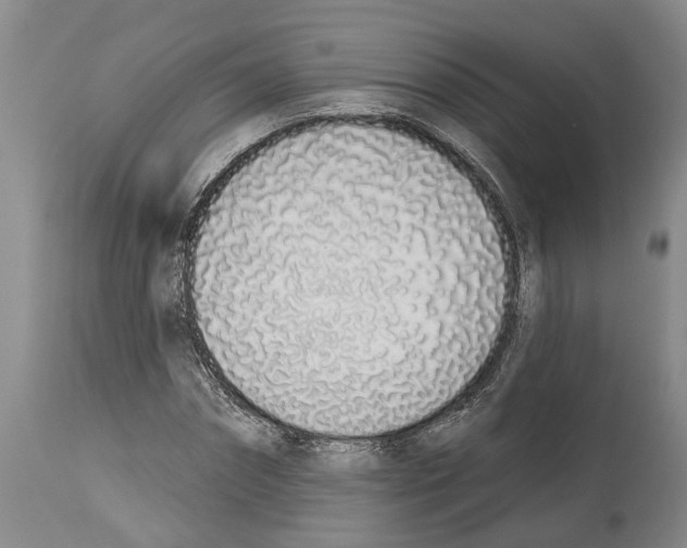 X0000114000874200911131138