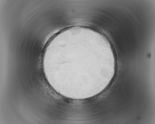 X0000114000875200911131138