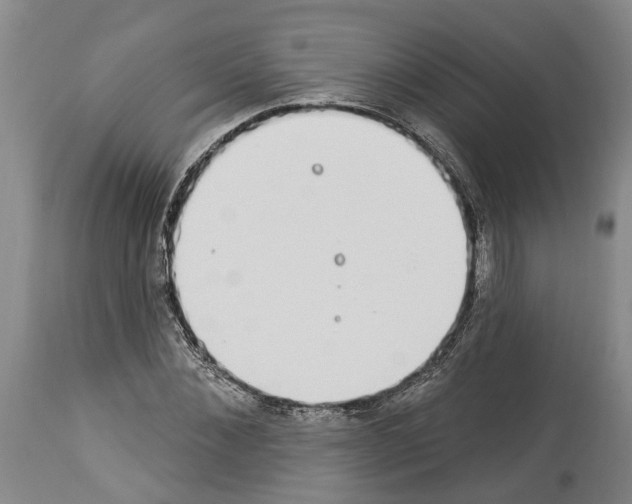 X0000114000876200911131138
