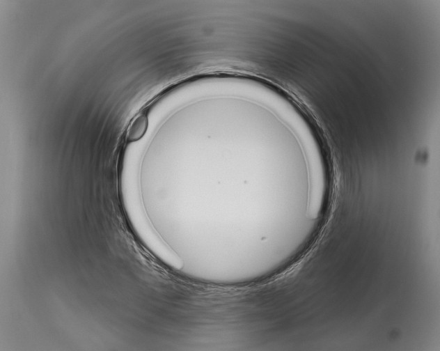 X0000114000877200911131138