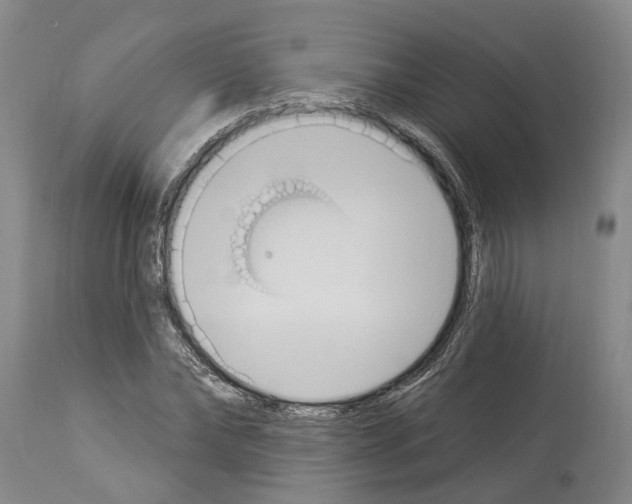 X0000114000878200911131138
