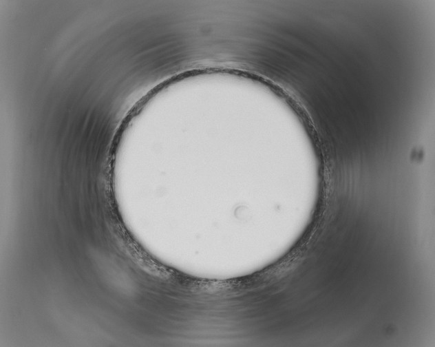 X0000114000879200911131138