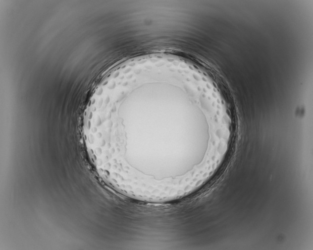 X0000114000881200911131138
