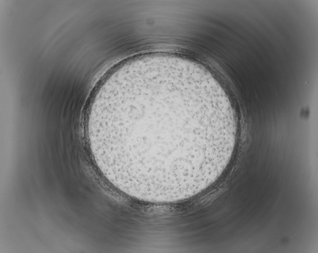 X0000114000883200911131138