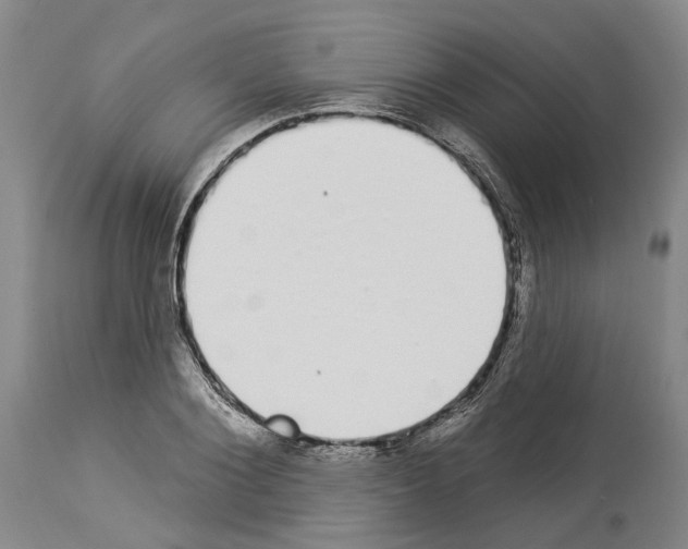 X0000114000884200911131138