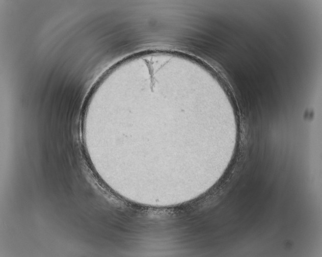 X0000114000887200911131138