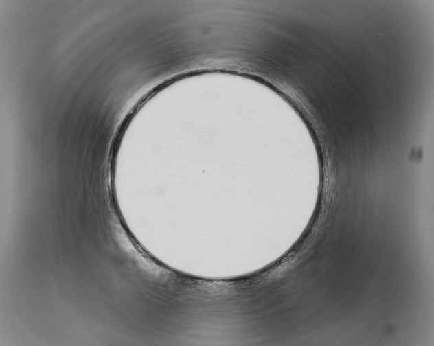 X0000114000888200911131138