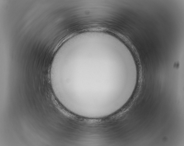 X0000114000889200911131138