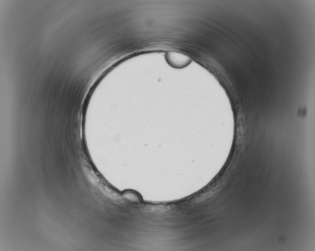 X0000114000892200911131138