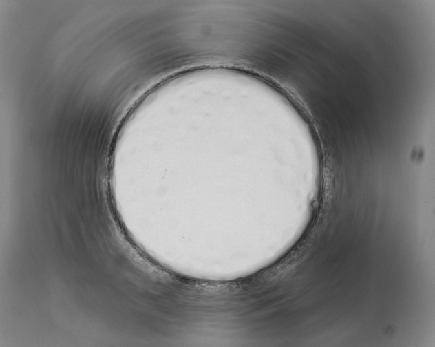 X0000114000895200911131138