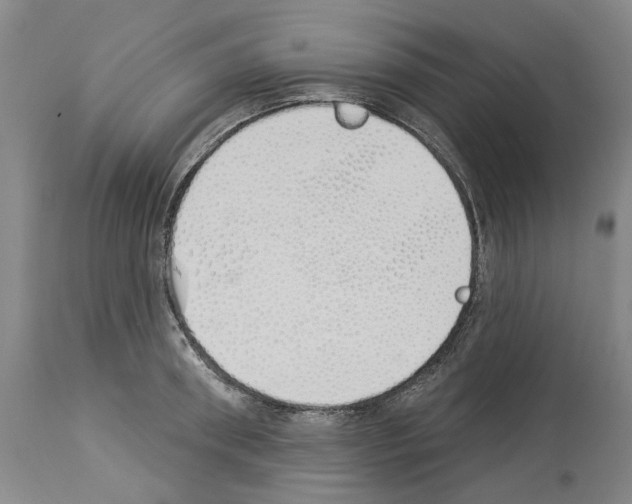 X0000114000898200911131138