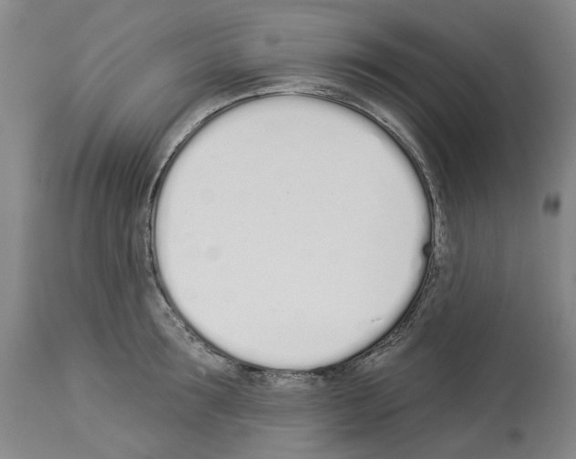 X0000114000899200911131138
