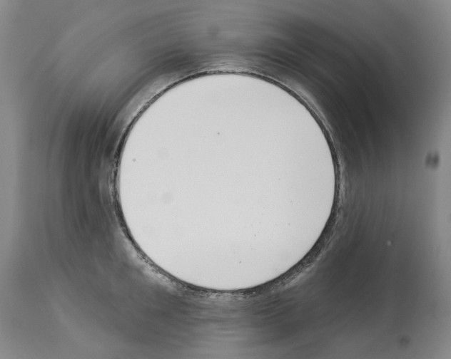 X0000114000901200911131138