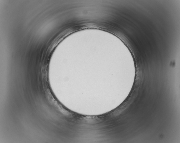 X0000114000906200911131138