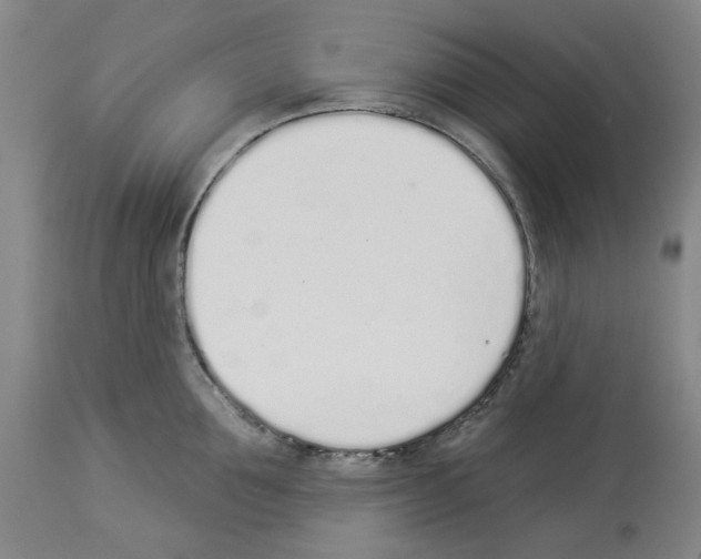 X0000114000907200911131138
