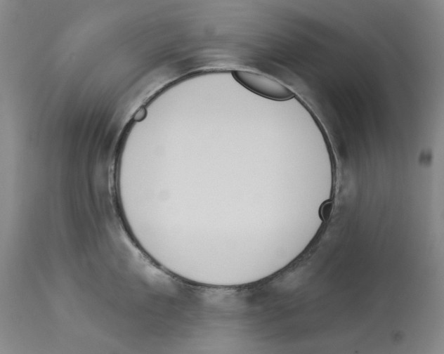 X0000114000909200911131138