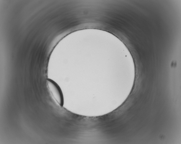 X0000114000912200911131138