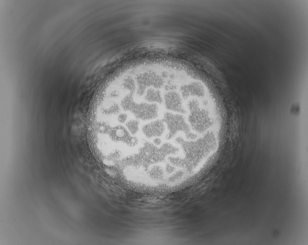 X0000114000917200911131137