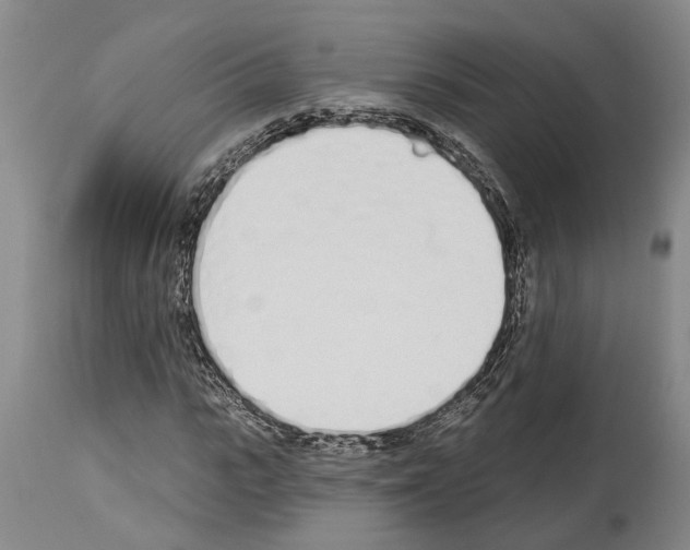 X0000114000919200911131137