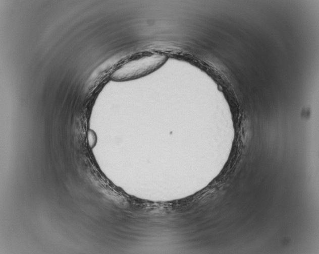X0000114000920200911131137