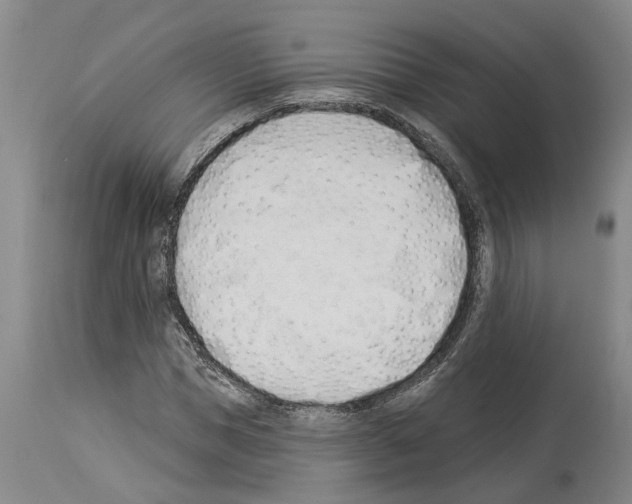 X0000114000921200911131137