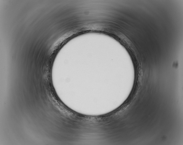 X0000114000922200911131137