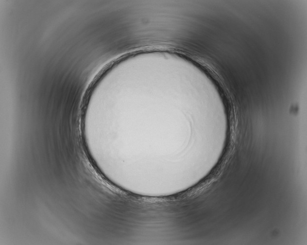 X0000114000924200911131137