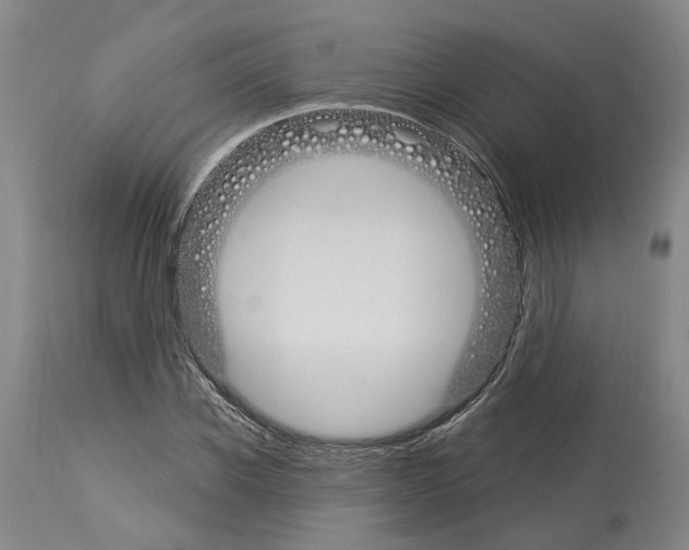 X0000114000926200911131137